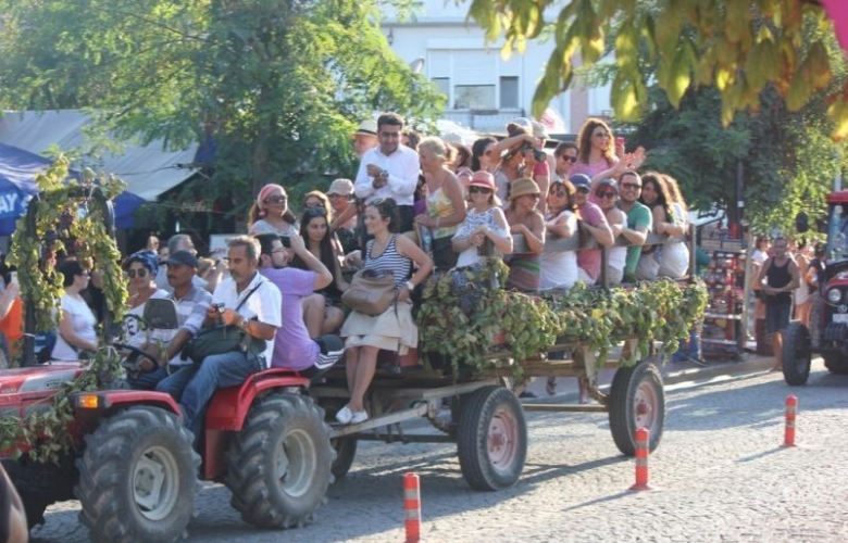 BOZCAADA BAĞ BOZUMUNA HAZIRLANIYOR        