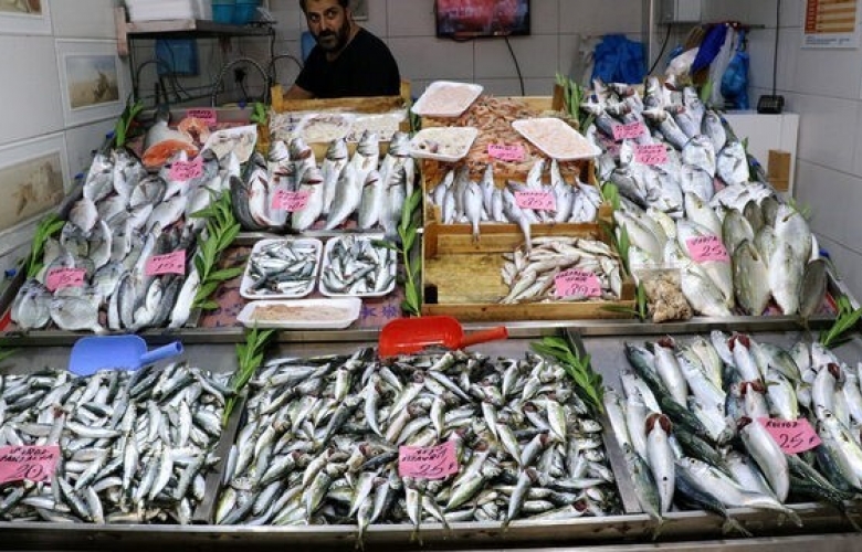 AV YASAĞI SONA ERDİ, BALIK FİYATLARI DÜŞTÜ        