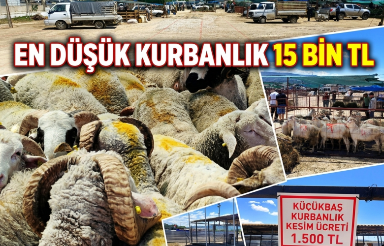 Çanakkale Kurban Pazarında En Düşük Kurbanlık 15 Bin TL