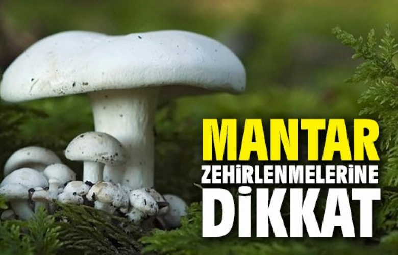 Mantara Dikkat