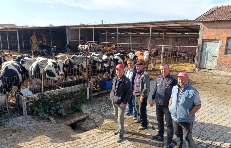 BÜYÜKBAŞ HAYVANLARINI KENDİ ÜRETTİKLERİ YEM İLE BESLİYORLAR