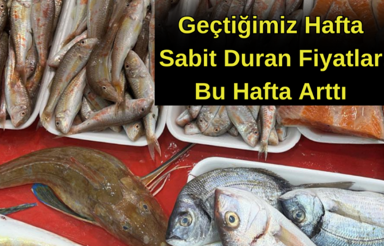 Çanakkale Balık Pazarında Fiyatlar Yükseliyor