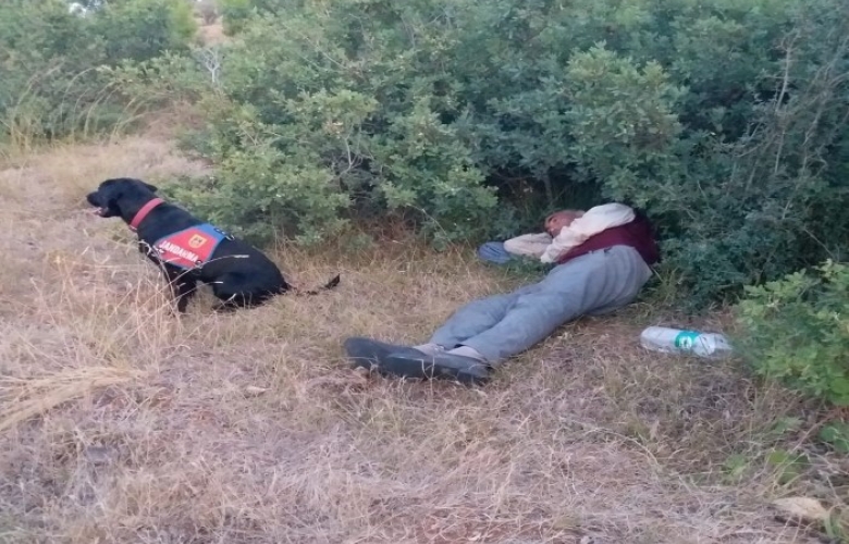 ROKA İSİMLİ JANDARMA İZ TAKİP KÖPEĞİ HAYAT KURTARDI