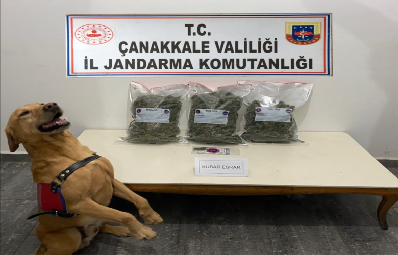 UYUŞTURUCU KÖPEĞİ TATBİK’TEN KAÇAMADILAR