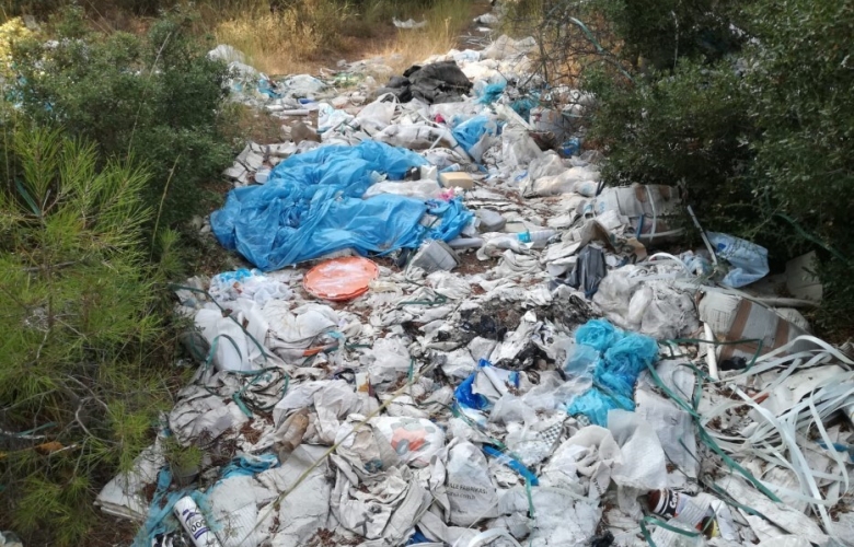 ORMANI ÇÖPLÜYE DÖNÜŞTÜRDÜLER