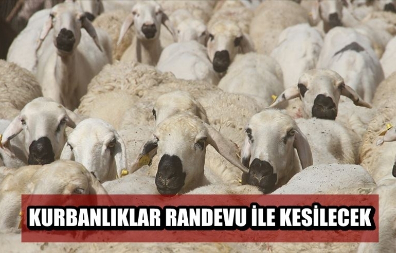 KURBAN KESİMLERİ RANDEVU İLE YAPILACAK