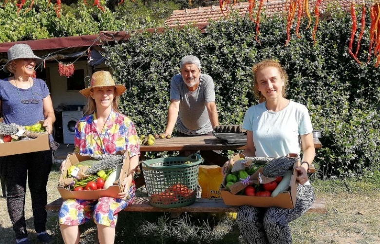 BİR MEMLEKET PROJESİ! "LACİVERTKÖY"