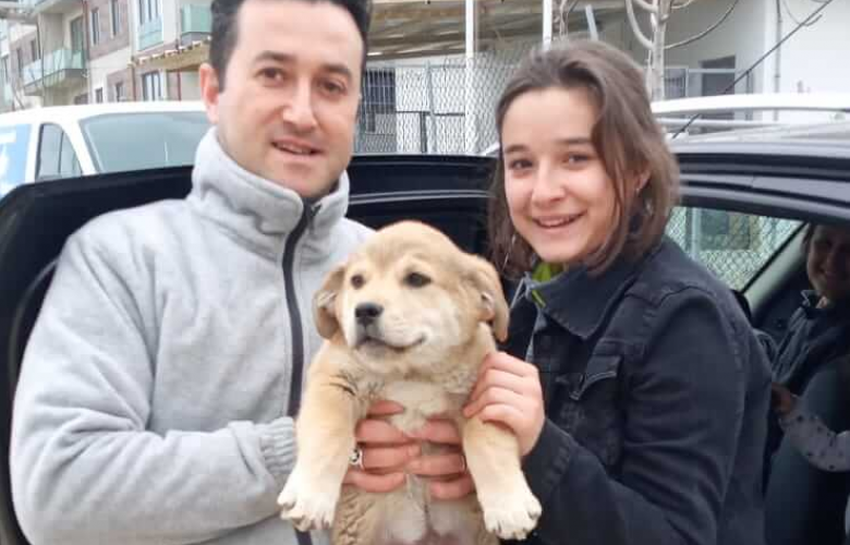 CAN DOSTLAR YENİ YUVALARINA KAVUŞUYOR
