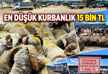 Çanakkale Kurban Pazarında En Düşük Kurbanlık 15 Bin TL